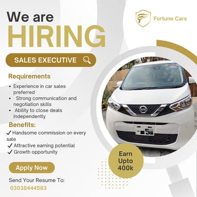 Sales Executive