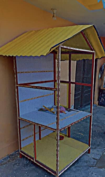 Diyaar Wood Cage for Budgies, Ringneck, Cockatiel’s,Doves, pegions
