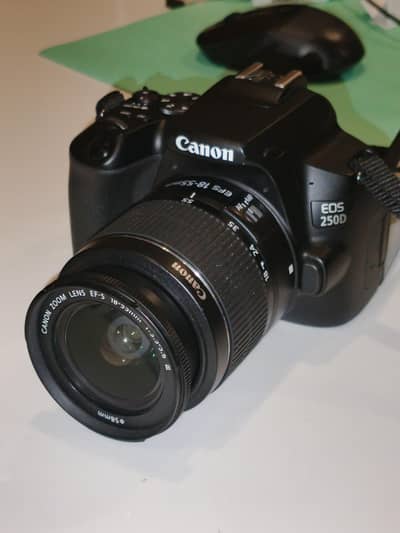 canon 250d (body+stock lens+ 75-300mm + accessory)