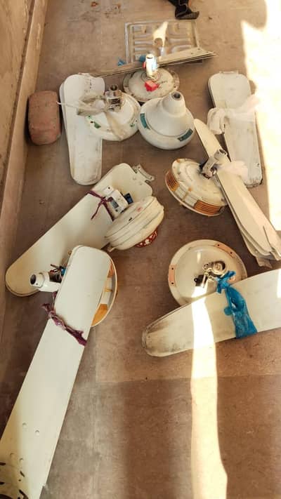 sk and royal fan  for sell