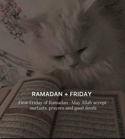 Gulzar e quaid to F7