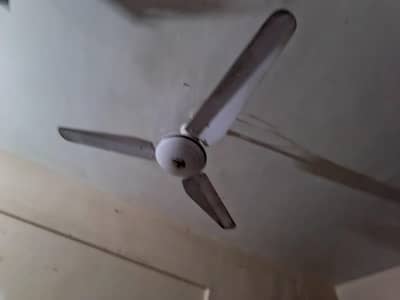 Celling fan for sale