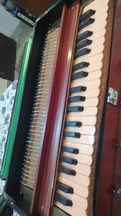 Original German Reed with New Body (Diyar Wood)