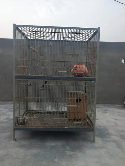 2 portion cage raw parrot team 03404273256 watsap