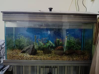 Fish Aquarium size 3 feet