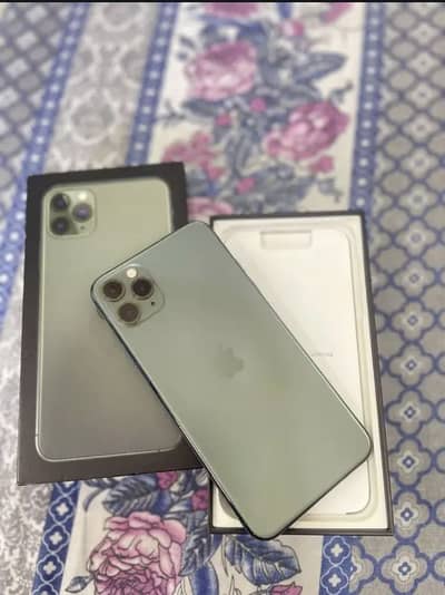 11 ProMax 10.10 New Condition