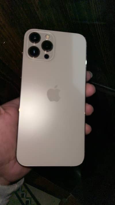 Apple iPhone 12 Pro Max