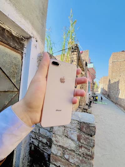 8plus Pta official approval ok finger ok urgent sell 03290151523