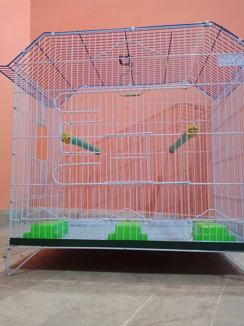 BIG CAGE 1