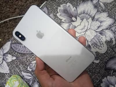 Xs Max non pta dual sim