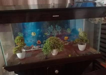 Fish Aquarium