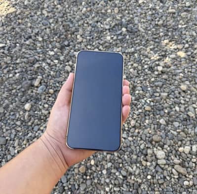 iPhone 13Pro Official dual sim PTA 10/10