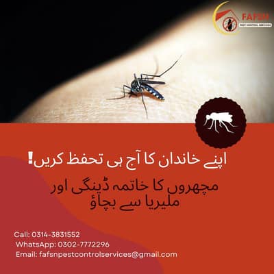 Safe & Effective Pest Control – Mosquitoes, Cockroaches, Rodents