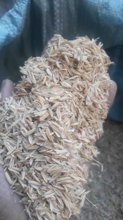 Rice Husk available