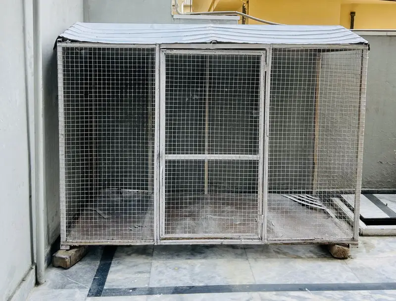 Dog house - Cage (whatsapp 03005100393)