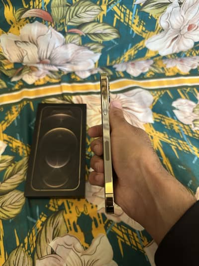 Iphone 12 pro max 256gb pta approved