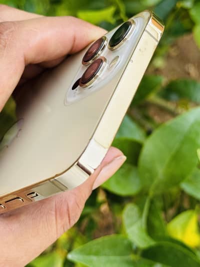 Iphone 12 pro Max Non PTA Glod