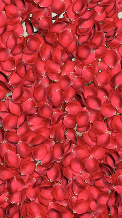 ghar k leya ik Acha cook chaye