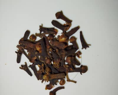Clove on wholesale