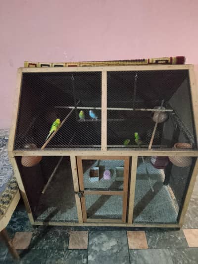 I am selling Australian parrots with cage with 3 pair parrots