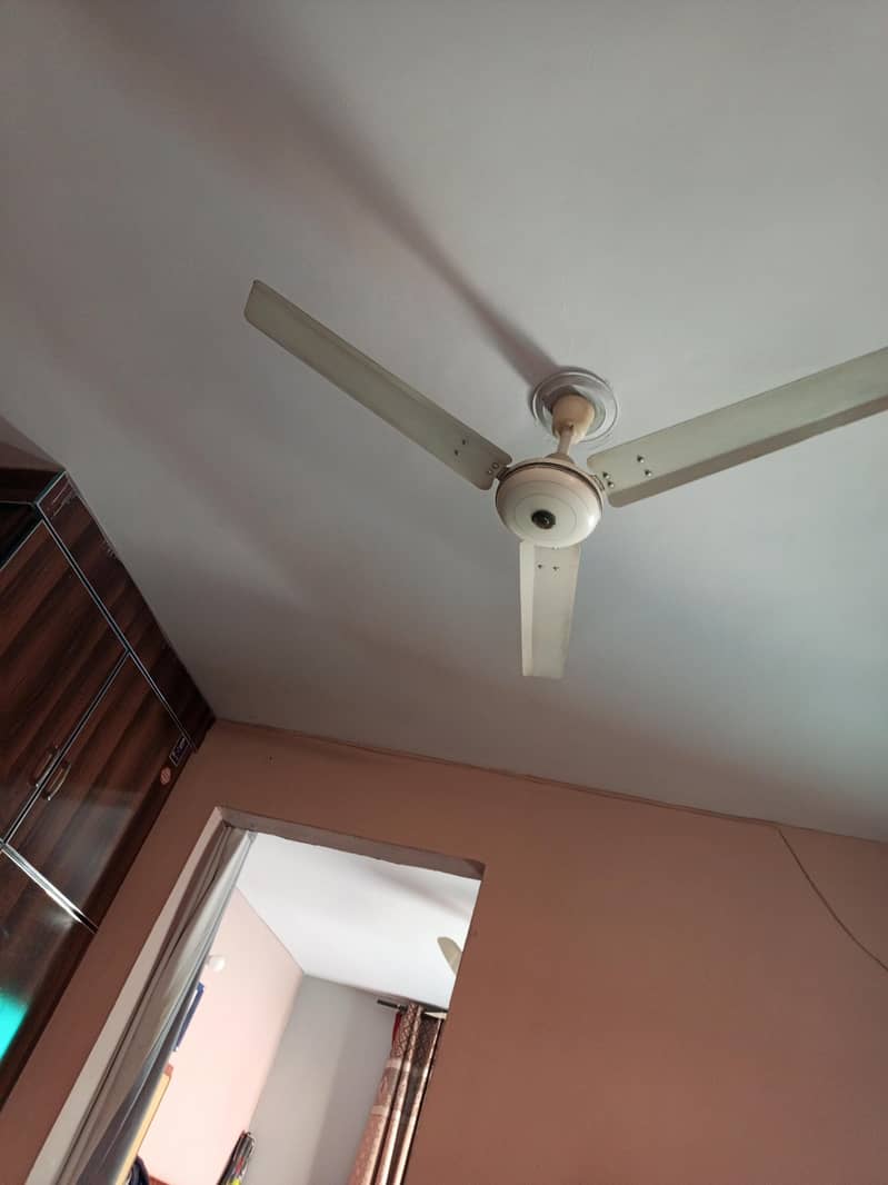 ایک عدد چھت والا پنکھاء کاہر وانڈنگ مکمل جینن براہے فروخت 0