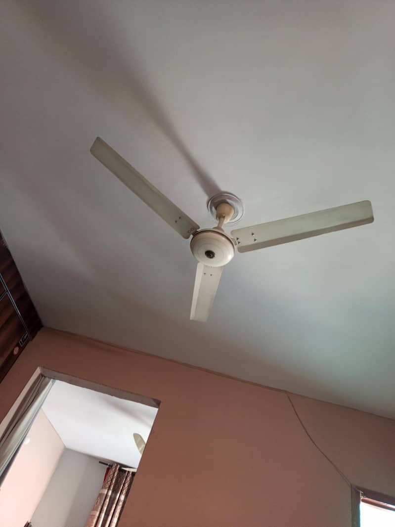 ایک عدد چھت والا پنکھاء کاہر وانڈنگ مکمل جینن براہے فروخت 2