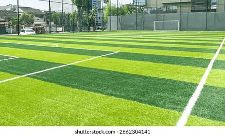 Artificial grass - Astro turf -Cricket grass - Football Sports grass