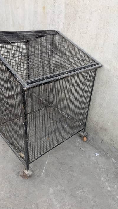 big size cage