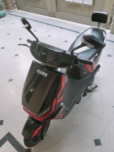 Evee Gen Z Branded Scotty