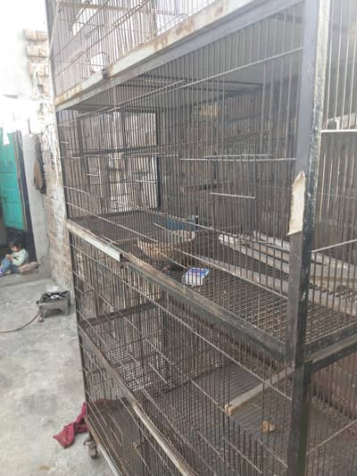 cage for sale 8 poshan
