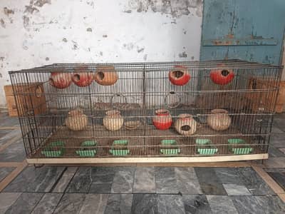 Professional Bird Breeding Cage with Clay Nest Pots – Large Size