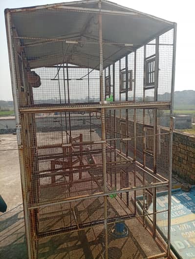 Cages for parrots and animals