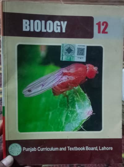 1st Year and 2nd year books Punjab board