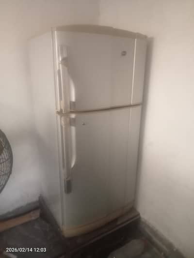 PELclassic  refrigerator best condition