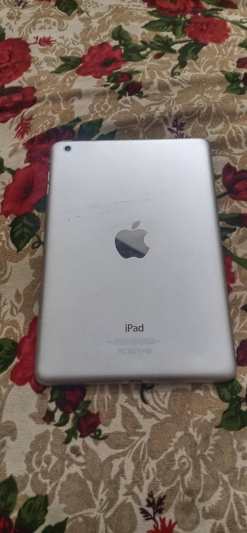 Ipad mini 1 0