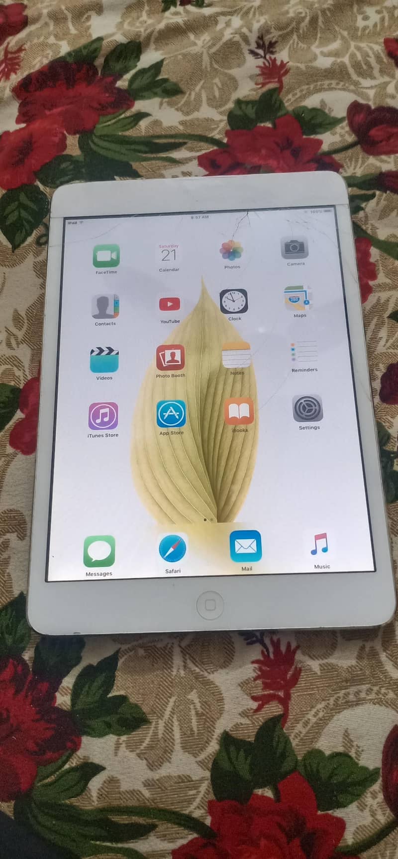 Ipad mini 1 3