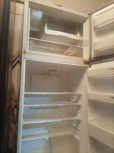 dawlence large size fridge