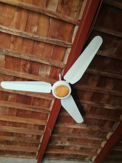 Ceiling Fan