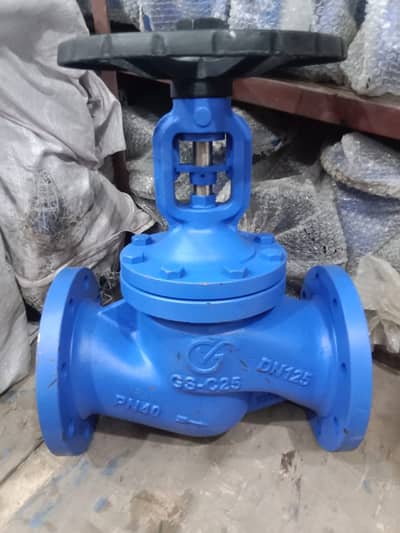 Buy the Best Quality Bellow Seal Globe Valve PN40 Flange Type
