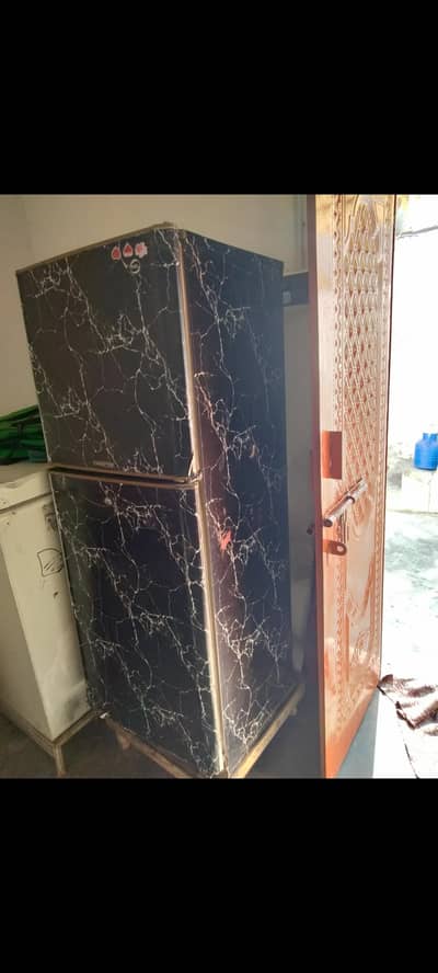 pell jamboo size frigde