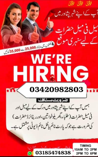 office work male and female required