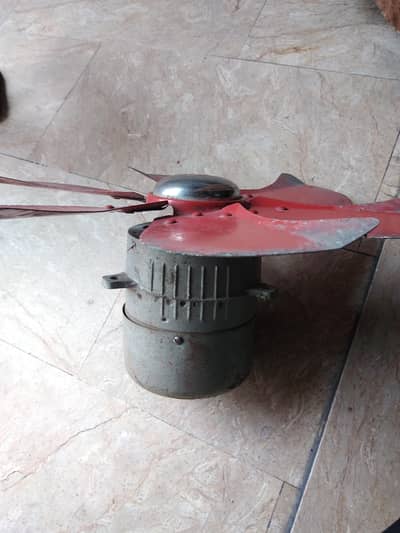 Air Cooler Motor
