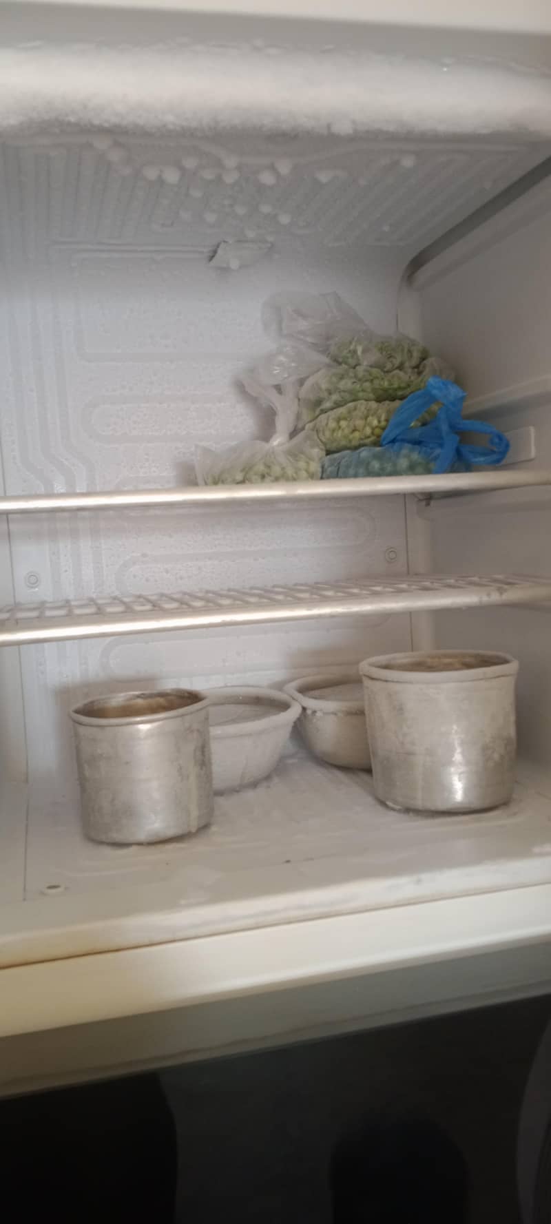 fridge 3