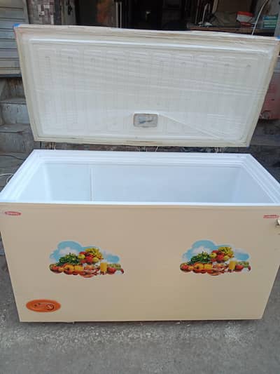 waves deep freezer condition 10 by 10 urgent sale