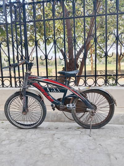 Solid Bicycle – Durable & Ready to Ride