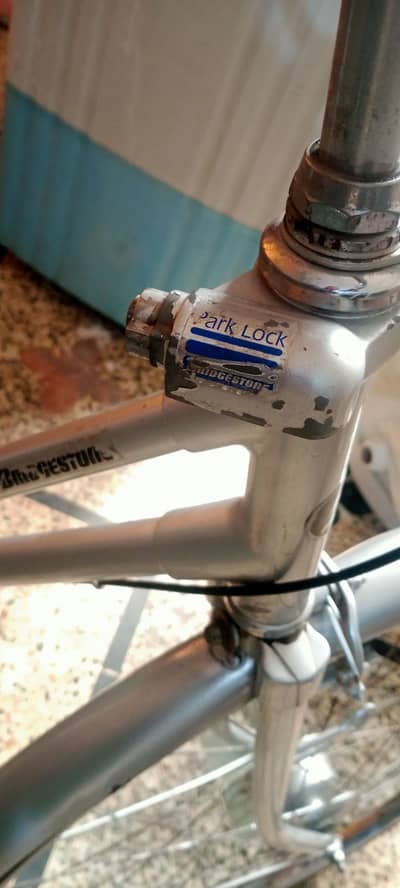 Japanese charging rim cycle