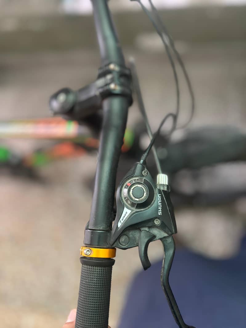 BEGOOD MTB 800 IMPROTED 2