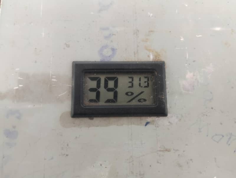 eggs incubator fully automatic 10