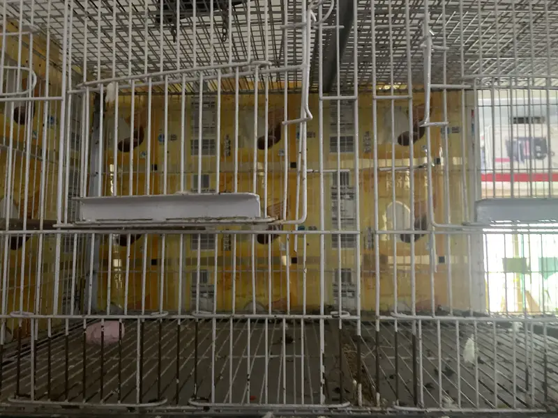 8 Portion Partition Bird Cage for Sale (Used Like New) — photo 6