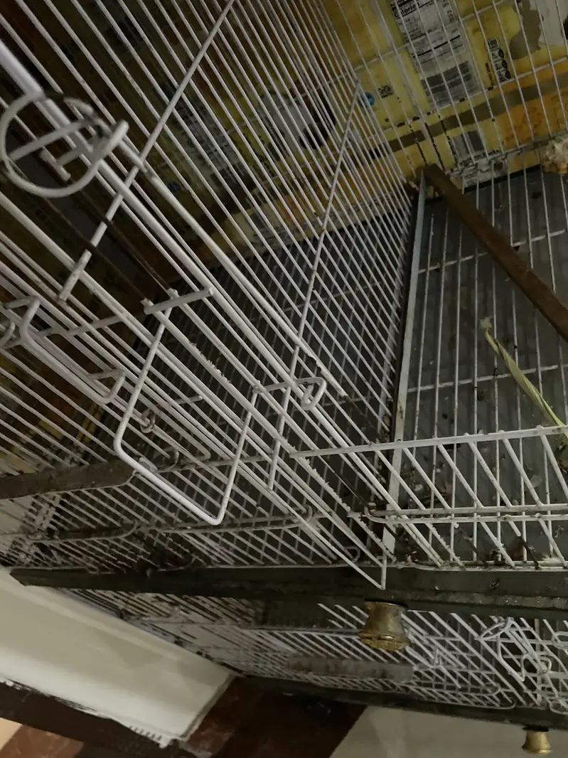 8 Portion Partition Bird Cage for Sale (Used Like New) — photo 3